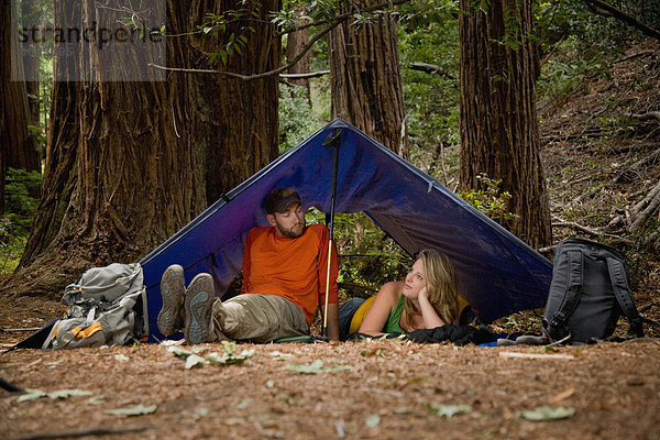 Wald  camping  groß  großes  großer  große  großen  jung  Sequoia