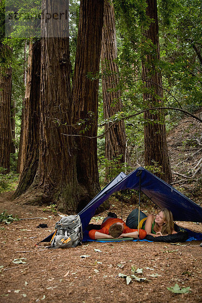 Wald  camping  groß  großes  großer  große  großen  jung  Sequoia