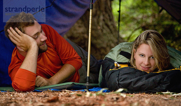 Wald  camping  groß  großes  großer  große  großen  jung  Sequoia