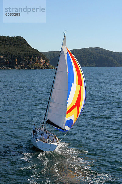 Segeln  Farbaufnahme  Farbe  Yacht  Ansicht  Kreuzfahrtschiff  Luftbild  Fernsehantenne  Australien  North Shore  Spinnaker  Sydney
