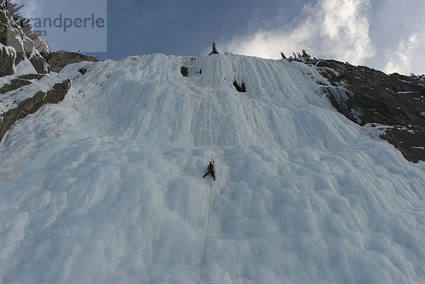 Eis  Wasserfall  Mittelpunkt  übergroß  Klettern  Columbia-Eisfeld  Columbia Icefield  Alberta  Kanada  gefroren