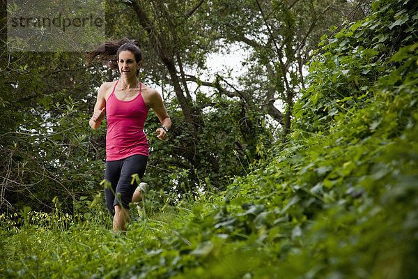 Laubwald  Frau  folgen  rennen  grün  Wiese