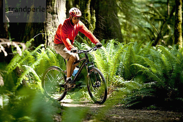 Berg  Mann  Wald  Farn  Regen  groß  großes  großer  große  großen  Fahrrad  Rad  Steinschlag  Moos  dicht