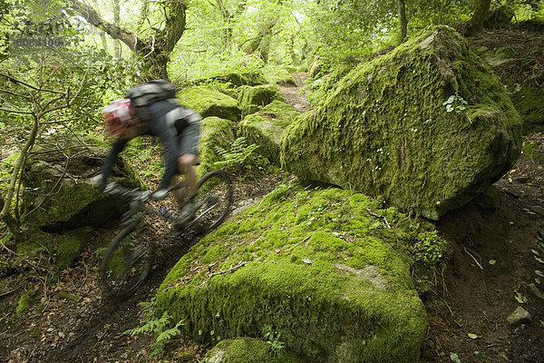 Berg  Bewegung  Mann  Wald  Nostalgie  Geschwindigkeit  Bewegungsunschärfe  Steinschlag  Moos  England