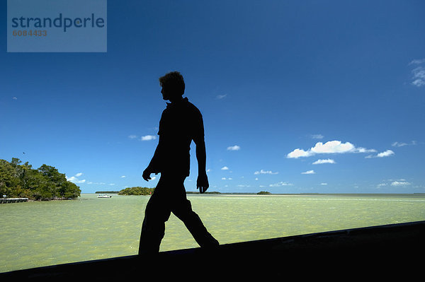 Mann  gehen  Silhouette  Küste  vorwärts  Florida