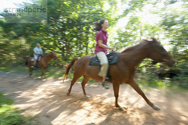 Frau  Bewegung  Mann  Bewegungsunschärfe  fahren  reiten - Pferd  Florida  mitfahren