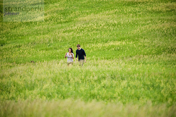 Helligkeit  gehen  folgen  grün  Feld  jung  Gras  Erdhügel  South Dakota