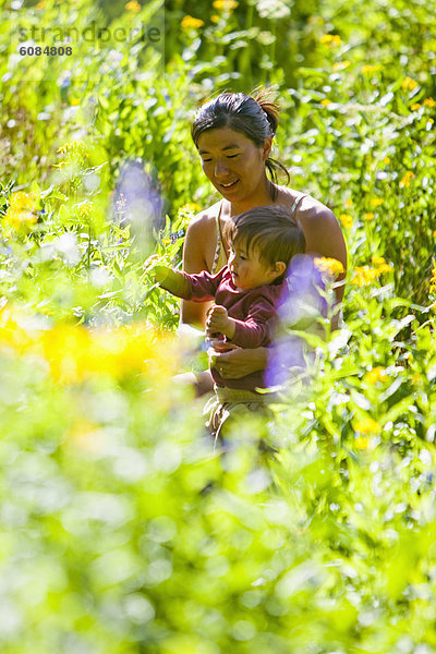 Espe  Populus tremula  Außenaufnahme  tragen  Sohn  Bewunderung  Landschaftlich schön  landschaftlich reizvoll  Wildblume  Wiese  braun  Mutter - Mensch  Colorado  Monat  alt