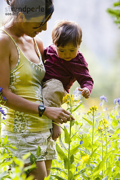 Espe  Populus tremula  Außenaufnahme  tragen  Sohn  Bewunderung  Landschaftlich schön  landschaftlich reizvoll  Wildblume  Wiese  braun  Mutter - Mensch  Colorado  Monat  alt