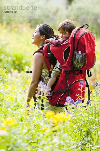 Espe  Populus tremula  Rucksack  Außenaufnahme  tragen  Reise  füllen  füllt  füllend  Landschaftlich schön  landschaftlich reizvoll  Rucksackurlaub  Wildblume  Wiese  braun  Mutter - Mensch  Colorado