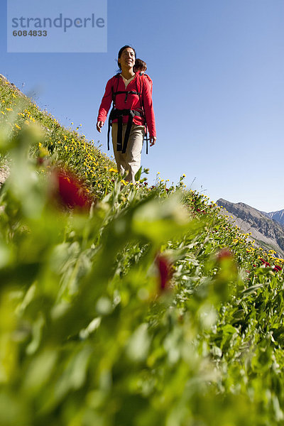 Espe  Populus tremula  Rucksack  Außenaufnahme  tragen  Reise  folgen  über  fahren  Landschaftlich schön  landschaftlich reizvoll  Rucksackurlaub  Wiese  braun  Mutter - Mensch  Colorado