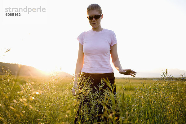 gehen  Sonnenuntergang  groß  großes  großer  große  großen  Sonnenbrille  Gras  Mädchen