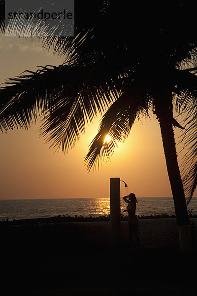 Frau  Sonnenuntergang  Baum  Ozean  unterhalb  Mexiko  Palme