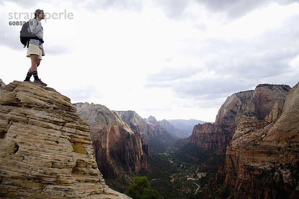 Fröhlichkeit  folgen  hoch  oben  wandern  Ansicht  landen  Zion Nationalpark  Utah