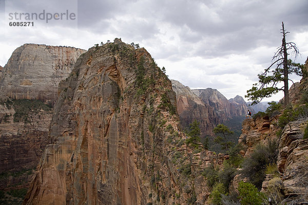 stehend  Fröhlichkeit  folgen  wandern  Ansicht  landen  Zion Nationalpark  Utah