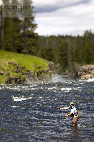 Fluss  Fischer  Idaho