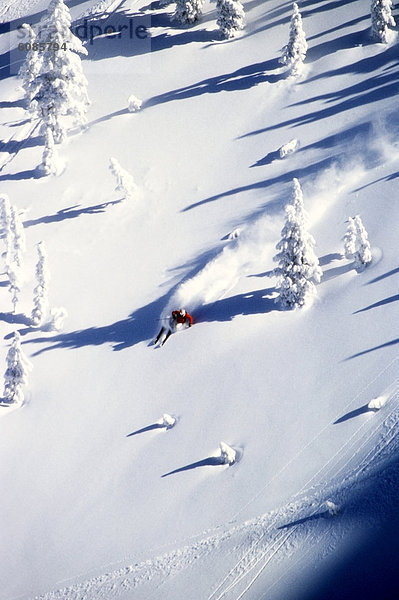 Skifahrer  Tag  liegend  liegen  liegt  liegendes  liegender  liegende  daliegen  drehen  Ehrfurcht  groß  großes  großer  große  großen  Gesichtspuder  Berghüttensänger  Sialia currucoides  Wyoming