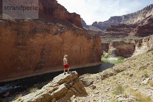 Frau  nehmen  über  Ehrfurcht  Fluss  Arizona  Ansicht  jung  Schlucht  Colorado