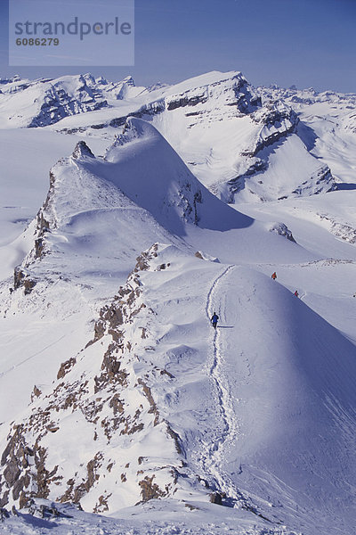 absteigen  Tagesausflug  Ski  vorwärts  überfahren  Wapta Icefield  Eisfeld