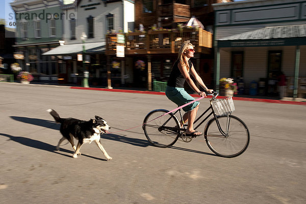 Elch  Alces alces  Frau  fahren  Hund  nebeneinander  neben  Seite an Seite  Allee  Colorado  Crested Butte