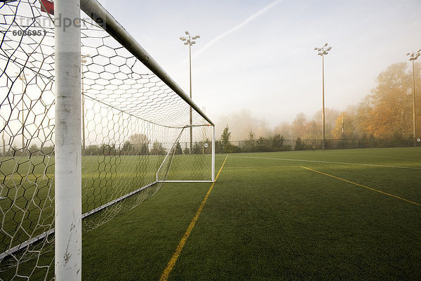 Sport  sehen  Morgen  Beleuchtung  Licht  Ziel  weiß  Nebel  Feld  Herbst  Reinheit  Fußball  Torf