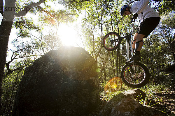 Felsbrocken  springen  fahren  Wald  Australien  Brisbane  Queensland