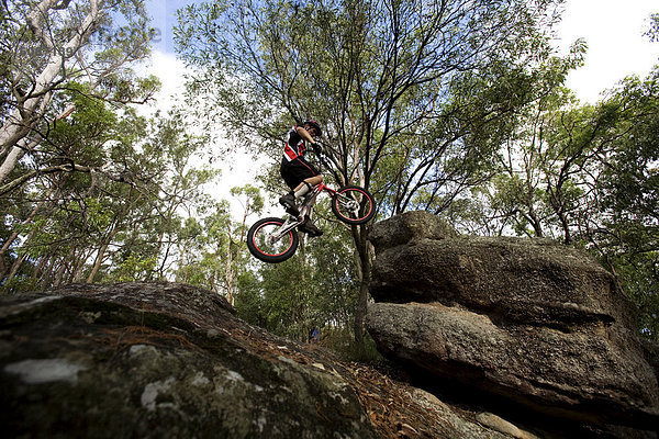 Felsbrocken  springen  fahren  Wald  Australien  Brisbane  Queensland
