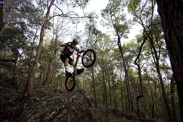 Felsbrocken  springen  fahren  Wald  Australien  Brisbane  Queensland