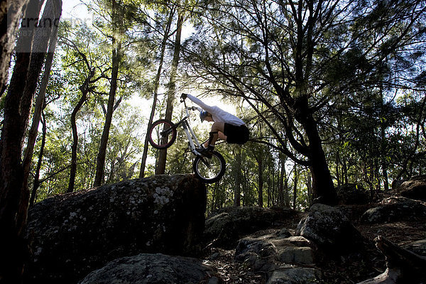 Felsbrocken  springen  fahren  Wald  Australien  Brisbane  Queensland