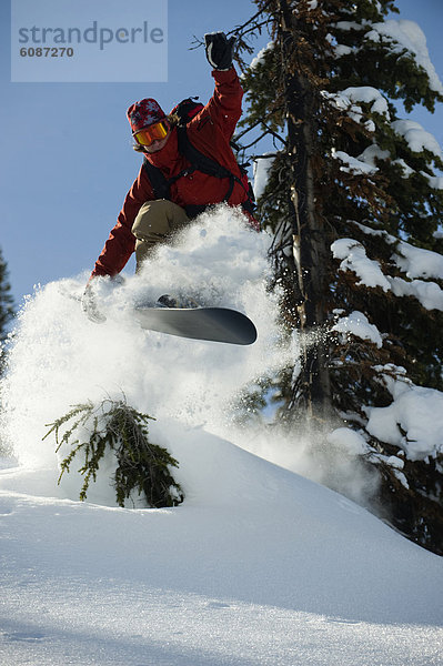 Berg  Snowboardfahrer  Baum  über  Himmel  unbewohnte  entlegene Gegend  Selkirk Mountains  Kanada