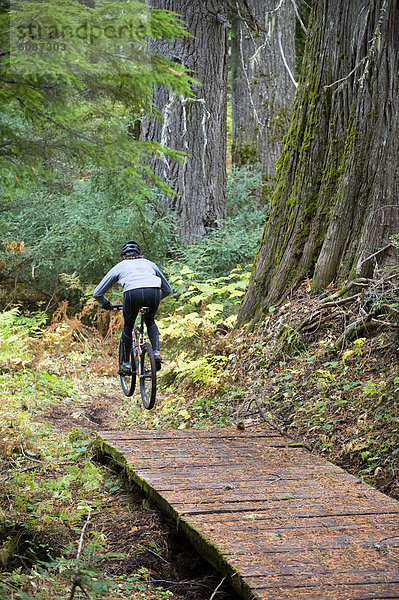 Berg  folgen  Baum  klein  fahren  Brücke  Zeder