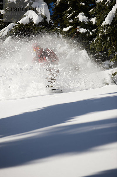 Berg  Mann  Snowboard  Baum  unbewohnte  entlegene Gegend  jung  Selkirk Mountains  Kanada  tief  Schnee