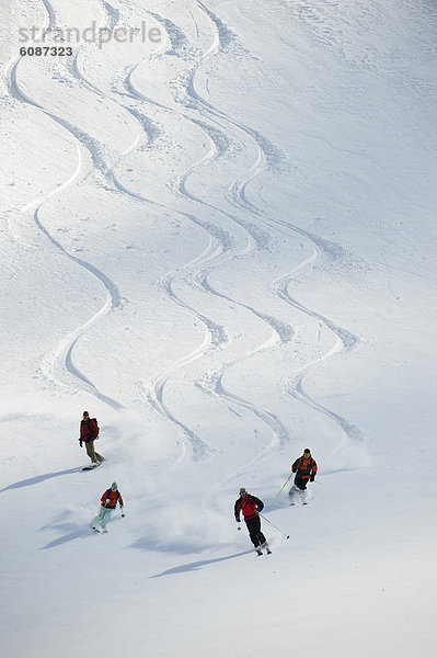 Führung  Anleitung führen  führt  führend  Berg  folgen  unbewohnte  entlegene Gegend  Ski  Selkirk Mountains  Kanada  Hang