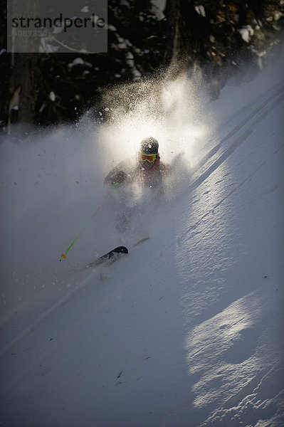 Gegenlicht  Berg  Ski  Skifahrer  Wolke  Baum  unbewohnte  entlegene Gegend  Selkirk Mountains  begraben  Kanada  Schnee