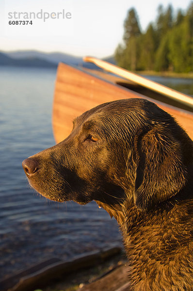 über  Hund  See  Hintergrund  Kanu