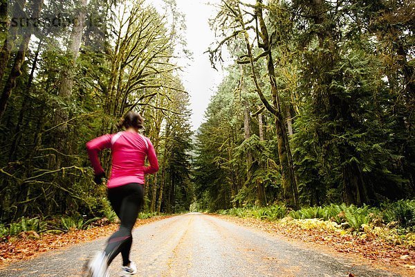 bedecken  Baum  Fernverkehrsstraße  joggen  groß  großes  großer  große  großen  Moos