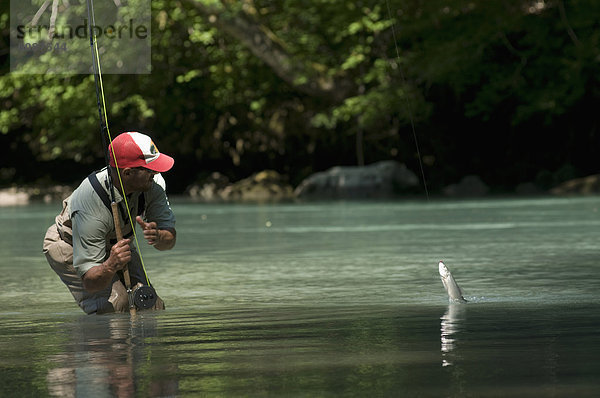 Fisch  Pisces  Mann  fangen  Fluss  angeln  Gummistiefel  Kleidung  Squamish  British Columbia
