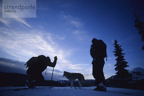 Berg  Hund  Skisport  Süden  unbewohnte  entlegene Gegend  Husky  Colorado  Dämmerung