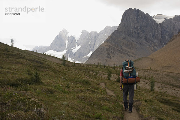 folgen  Rucksackurlaub  wandern  Kootenay Nationalpark