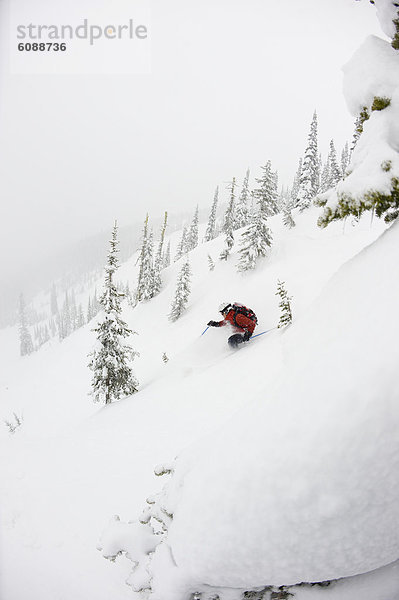 Ski  Skifahrer  Tag  Baum  Nebel  unbewohnte  entlegene Gegend