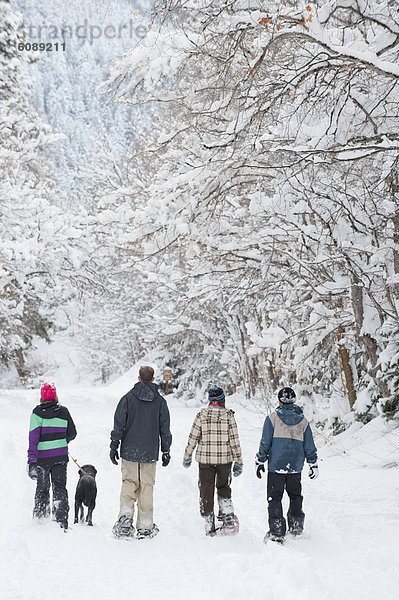 Schneeschuh  Weg  Hund  jung  Schlucht  Salt Lake City  Utah