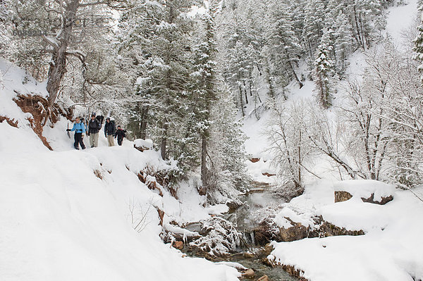 Rucksack  4  Mensch  Menschen  folgen  Schnee  vorwärts  Gabel  Diamant  Utah