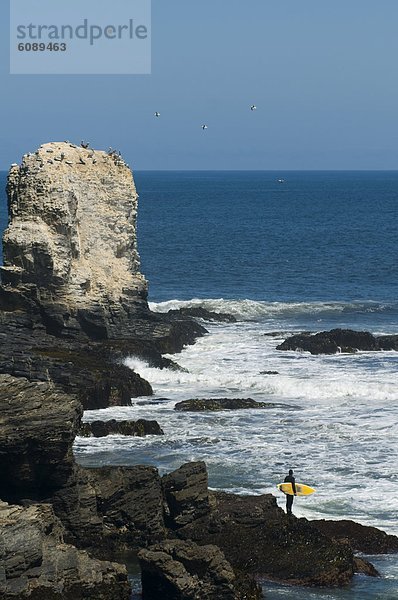 Mann  Felsen  halten  Surfboard  Wellenreiten  surfen  Tauchanzug  Kleidung  zeigen  Chile