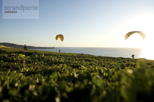 niedrig  Hafen  nehmen  Gleitschirm  Kiefer  Pinus sylvestris  Kiefern  Föhren  Pinie  1  landen  Winkel  Kalifornien  Gleitschirmfliegen  San Diego