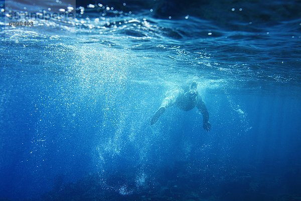 Tropisch  Tropen  subtropisch  Wasser  Fröhlichkeit  Entspannung  Unterwasseraufnahme  Insel  Ansicht  schwimmen  Schwimmer  Fiji