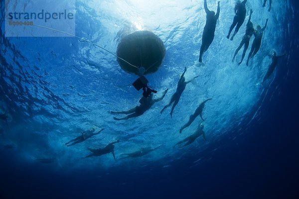 Tropisch Tropen subtropisch Wasser Ozean Unterwasseraufnahme Insel Ansicht Fiji Schwimmwettkampf Wettschwimmen Wettschwimmen