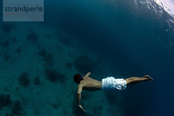 Tropisch  Tropen  subtropisch  Wasser  Mann  Unterwasseraufnahme  Insel  Ansicht  schwimmen  Fiji  tief