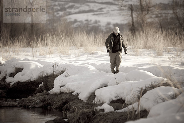 Fisch  Pisces  gehen  Fluss  Experiment  Fischer  Schnee  Utah