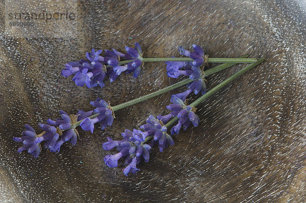 Lavendel auf Holzplatte
