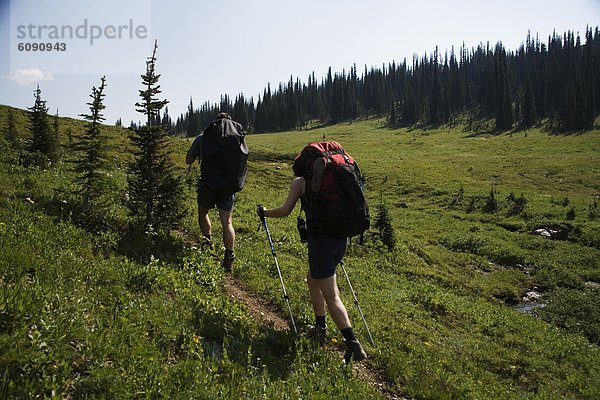 Berg  wandern  Wildblume  Wiese  Backpacker